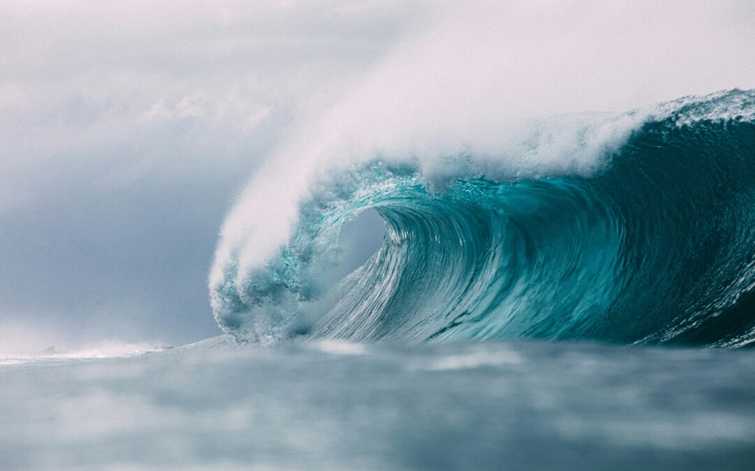 Oakbridge advise Sullivan Street Partners on Wave Group investment